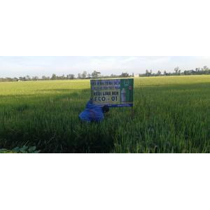 Cty TNHH Công Nghệ ENDOTA