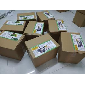 Cty TNHH Công Nghệ ENDOTA