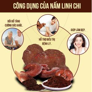 Hiệu quả điều trị của Nấm Linh chi