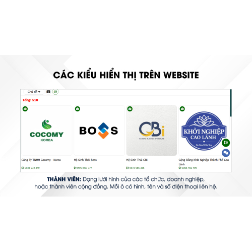 Các kiểu hiển thị trên website