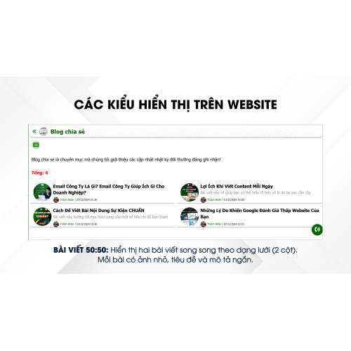 Các kiểu hiển thị trên website