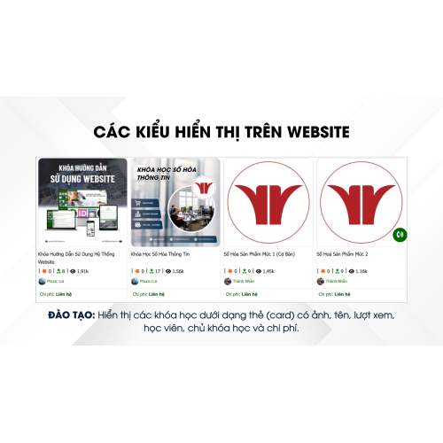 Các kiểu hiển thị trên website