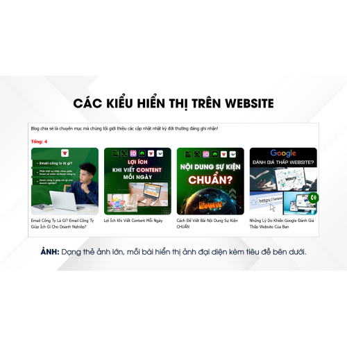 Các kiểu hiển thị trên website