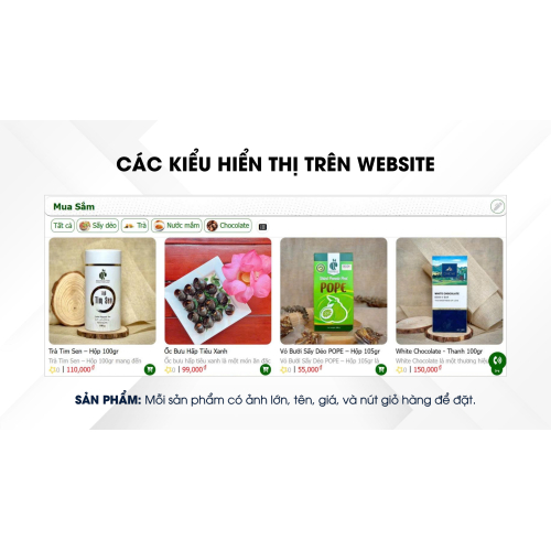 Các kiểu hiển thị trên website
