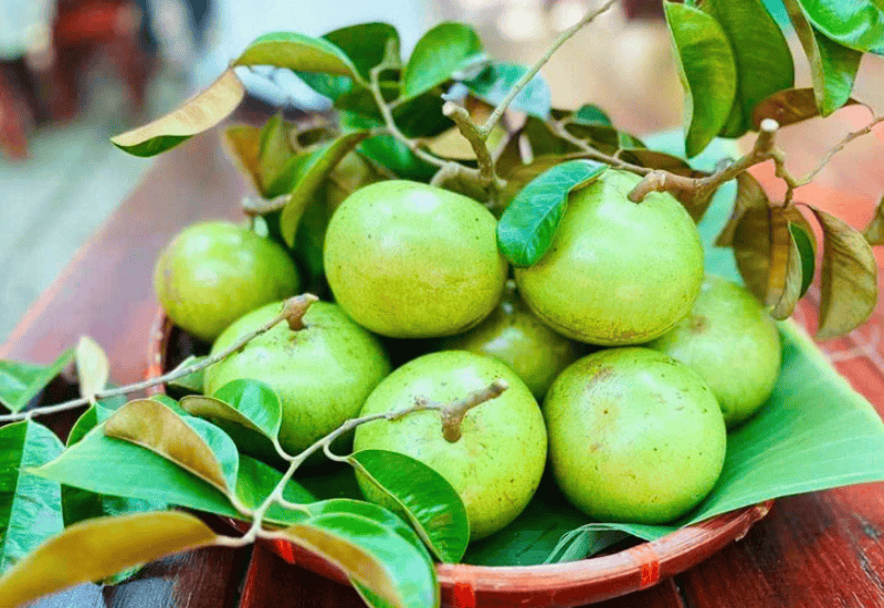 Những lợi ích khi sử dụng vú sữa