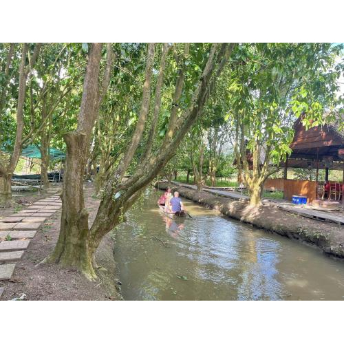 Buổi trưa: Trải nghiệm đặc trưng & ẩm thực miền Tây