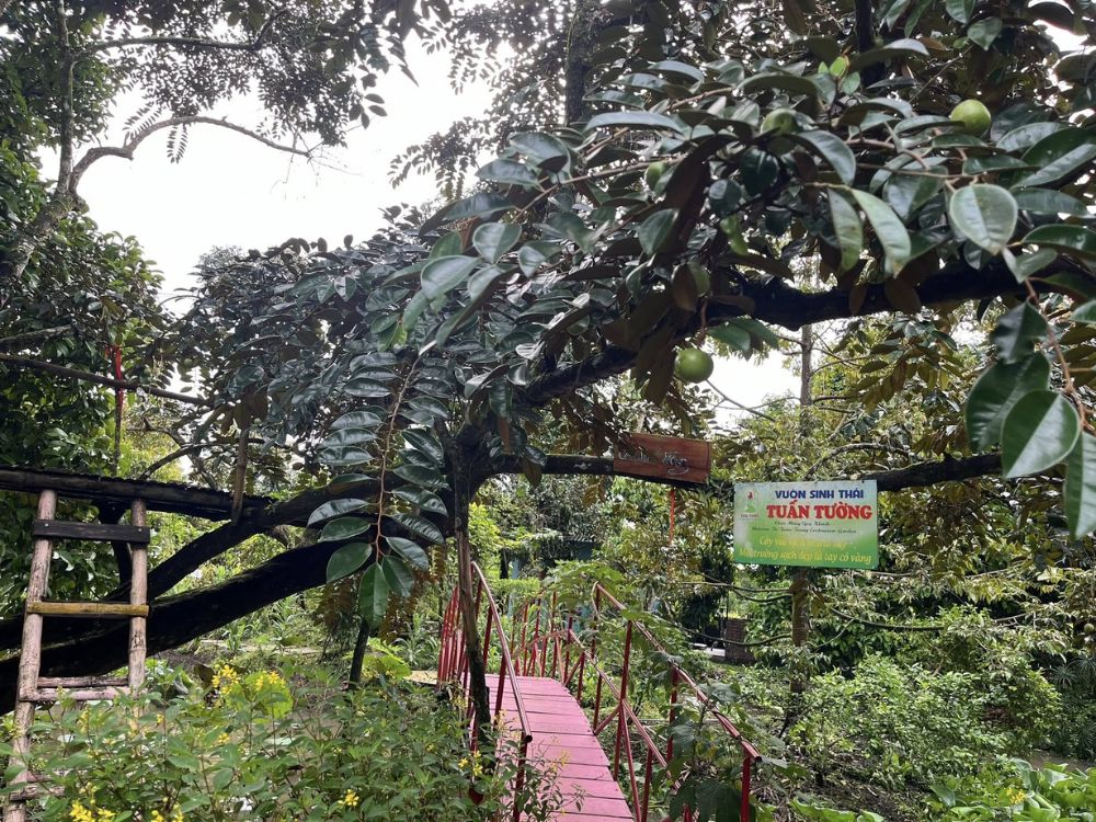 Hòa mình vào thiên nhiên xanh mát tại Tuấn Tường