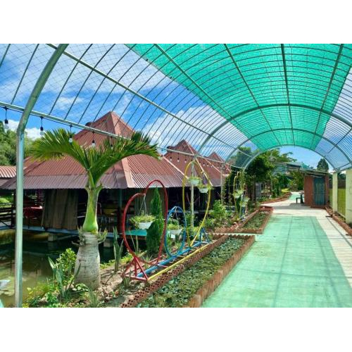 Không gian xanh – Khơi nguồn cảm hứng và năng lượng tích cực