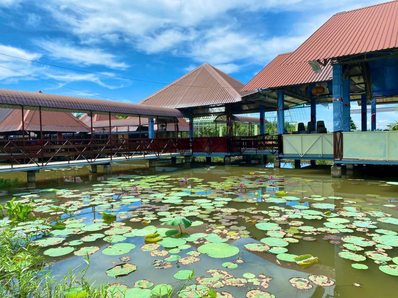 Không gian xanh, yên tĩnh và dễ chịu