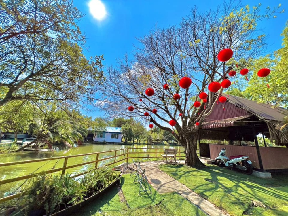 Hồ câu xanh – Không gian thư giãn giữa thiên nhiên