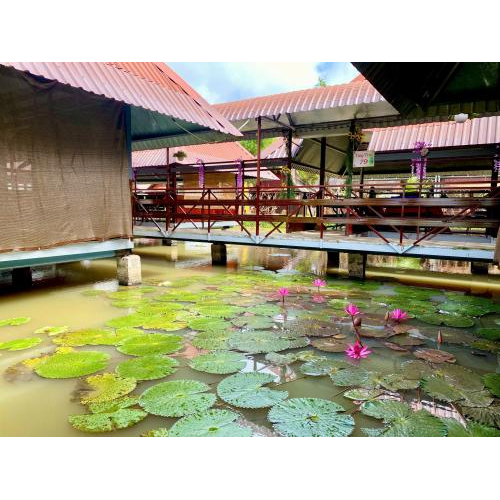 Không gian thiên nhiên mang lại cảm giác nghỉ ngơi thật sự