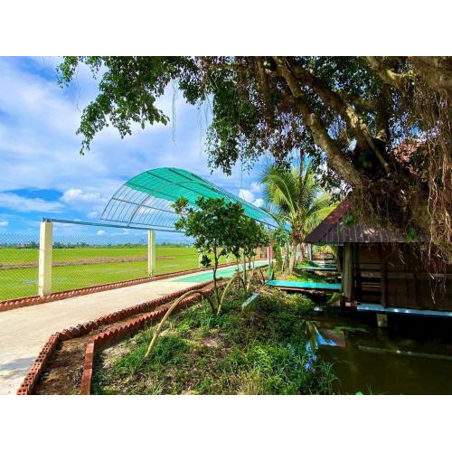 Giảm áp lực tinh thần nhờ không gian tự nhiên