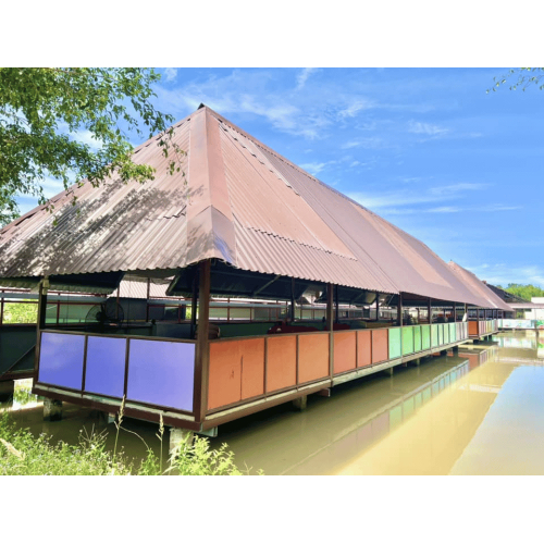 Khi đất trời giữ nhịp sống xanh