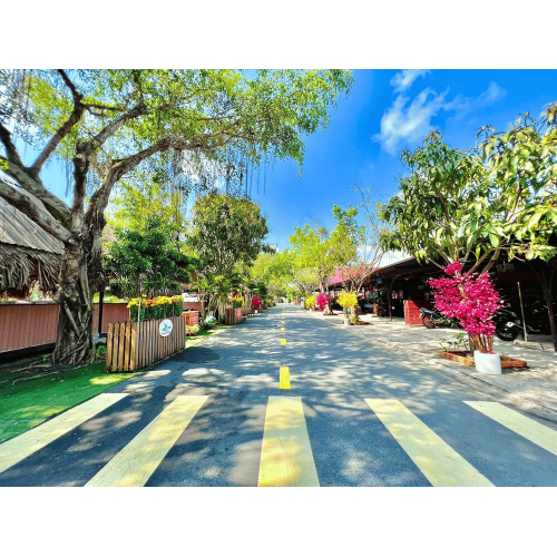 Khi đất trời giữ nhịp sống xanh