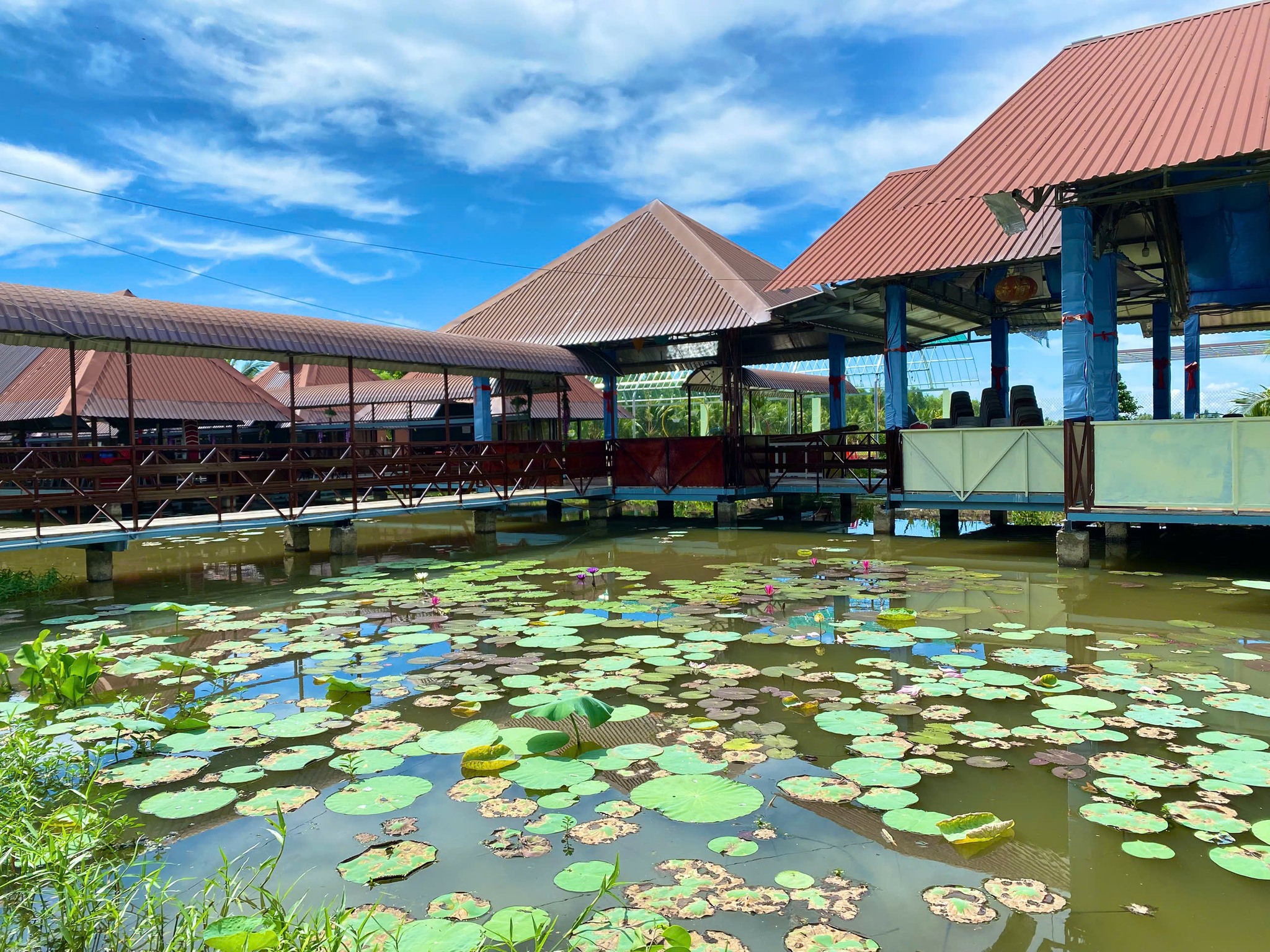 Du lịch sinh thái – Không chỉ là tham quan mà còn là trách nhiệm