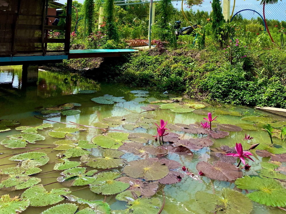 Chọn đúng thời điểm để tận dụng ánh sáng tự nhiên