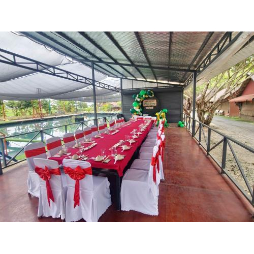 Không gian tổ chức sinh nhật ngoài trời