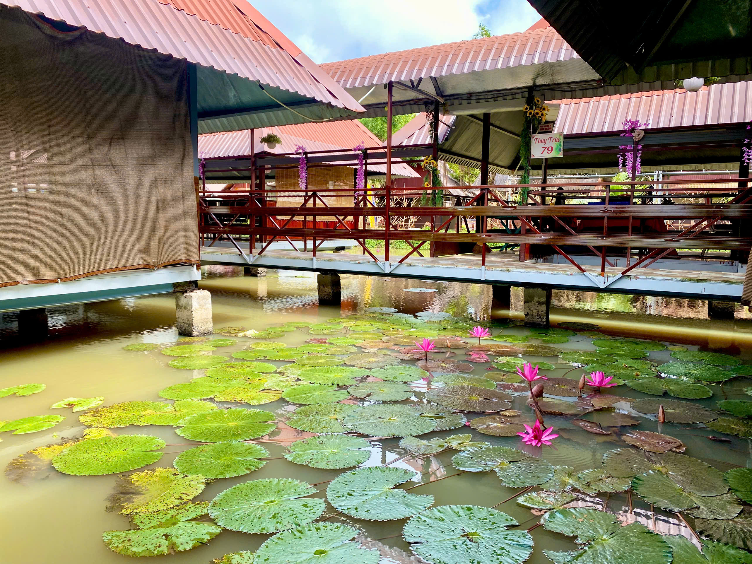 Khám phá văn hóa và cuộc sống địa phương