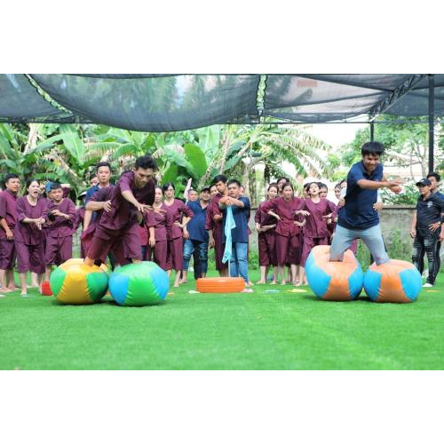 Mang lại cảm giác vui vẻ và thoải mái