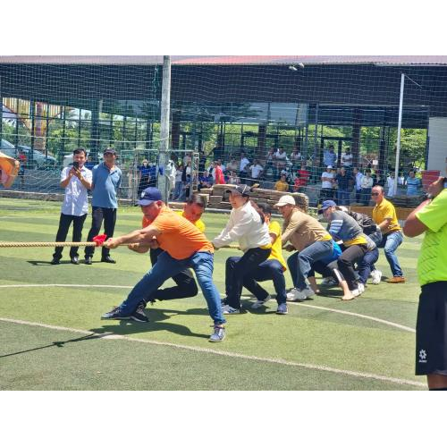 Mang lại cảm giác vui vẻ và thoải mái