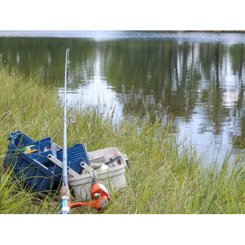 Trải nghiệm gần gũi và chân thực