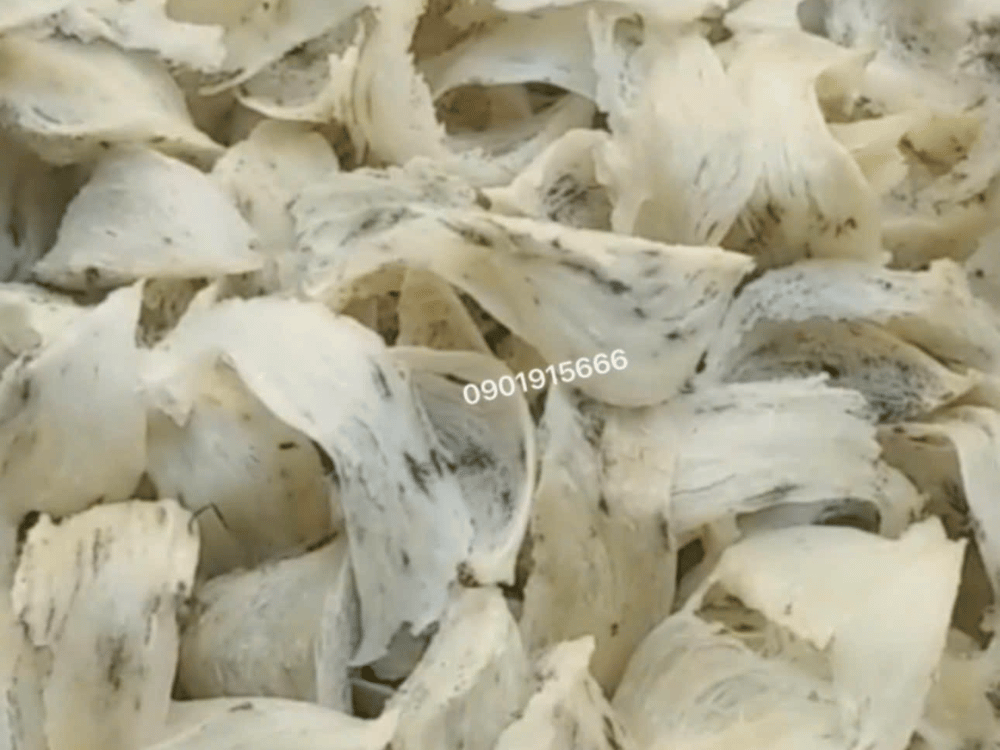 Giới thiệu chi tiết