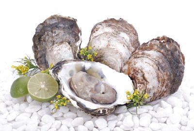 Hàu - Thực phẩm bổ dưỡng từ biển