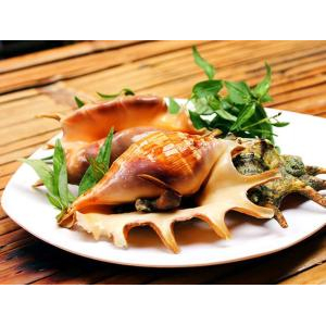 Album các món ốc của nhà hàng Ngự Uyển