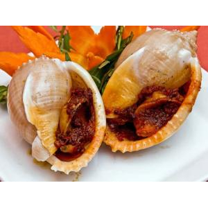 Album các món ốc của nhà hàng Ngự Uyển