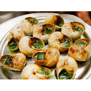 Album các món ốc của nhà hàng Ngự Uyển