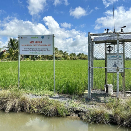 Đồng Tháp Tiên Phong Chuyển Đổi Số Ở Miền Tây