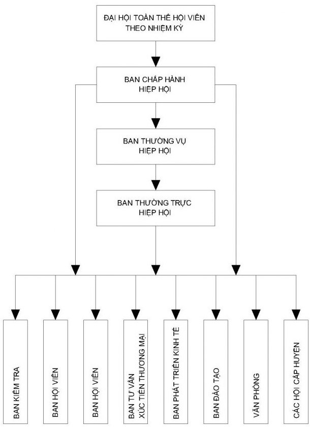 Cơ cấu tổ chức