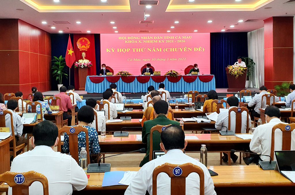 Sơ lược chức năng, nhiệm vụ