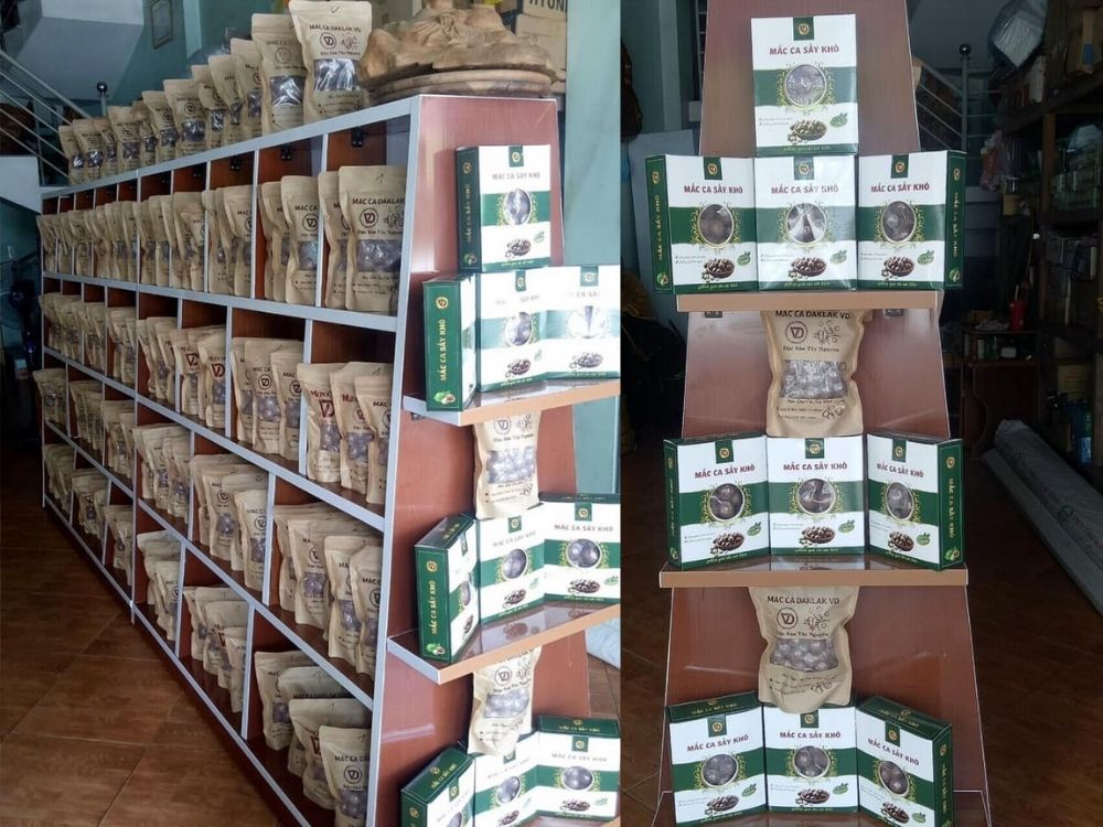 2. Lĩnh vực hoạt động