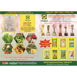 Hồ Sơ Năng Lực