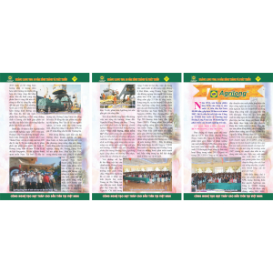 Hồ Sơ Năng Lực