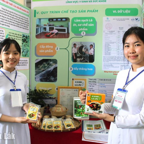 Những Sáng Tạo Độc Đáo Từ  Cây Nhà Lá Vườn