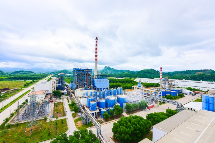 Giới thiệu tổng quan