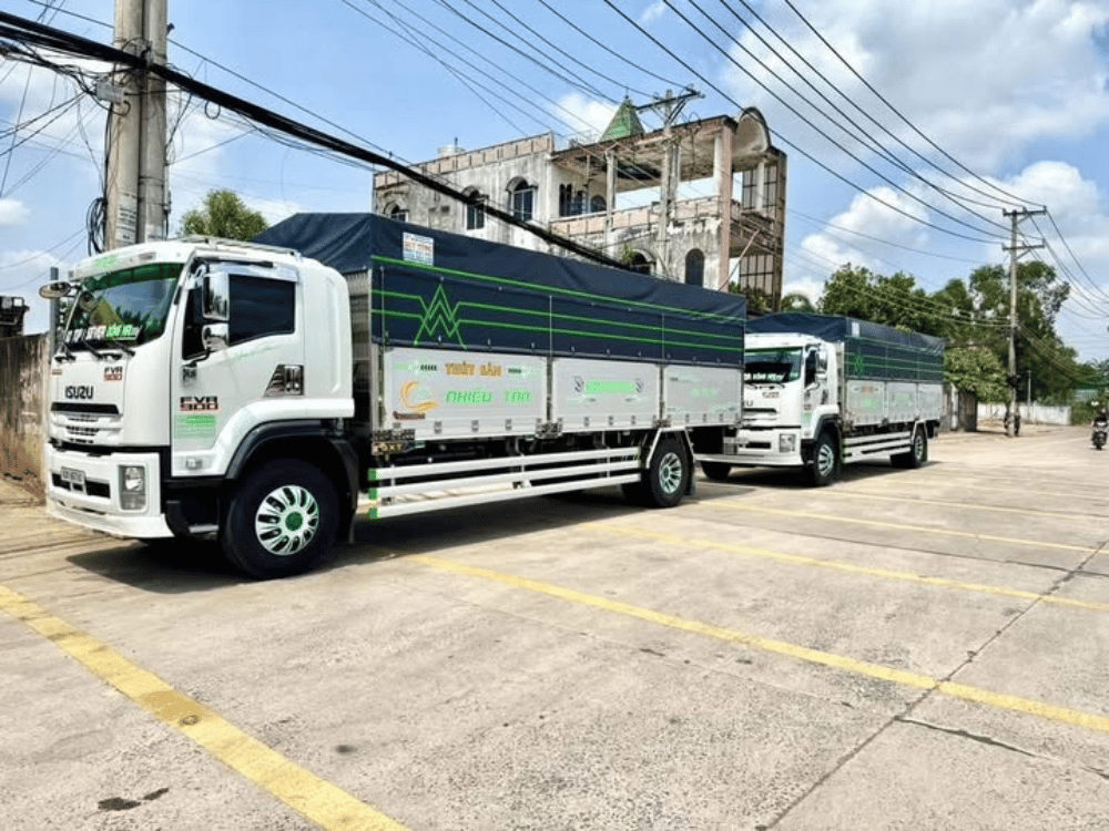 Giới thiệu sơ lược