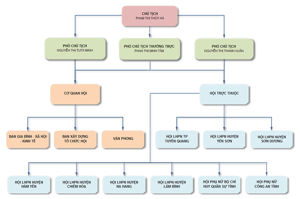 Bộ máy tổ chức