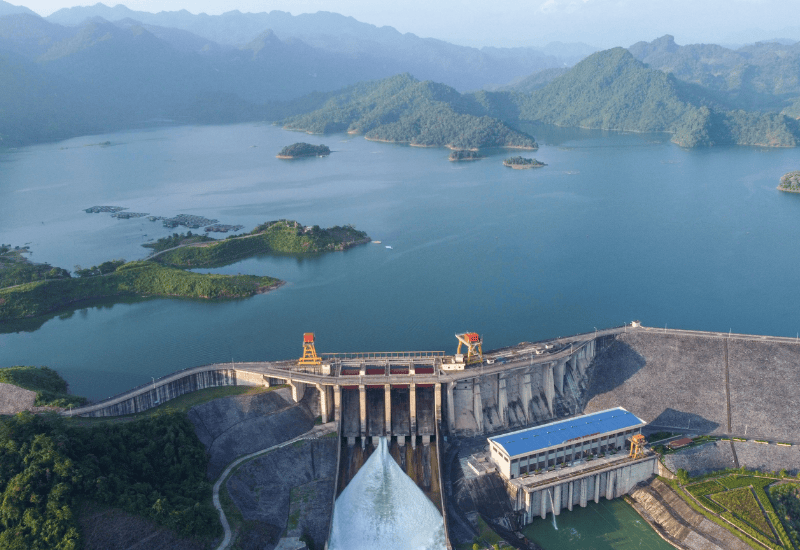 Lĩnh vực hoạt động