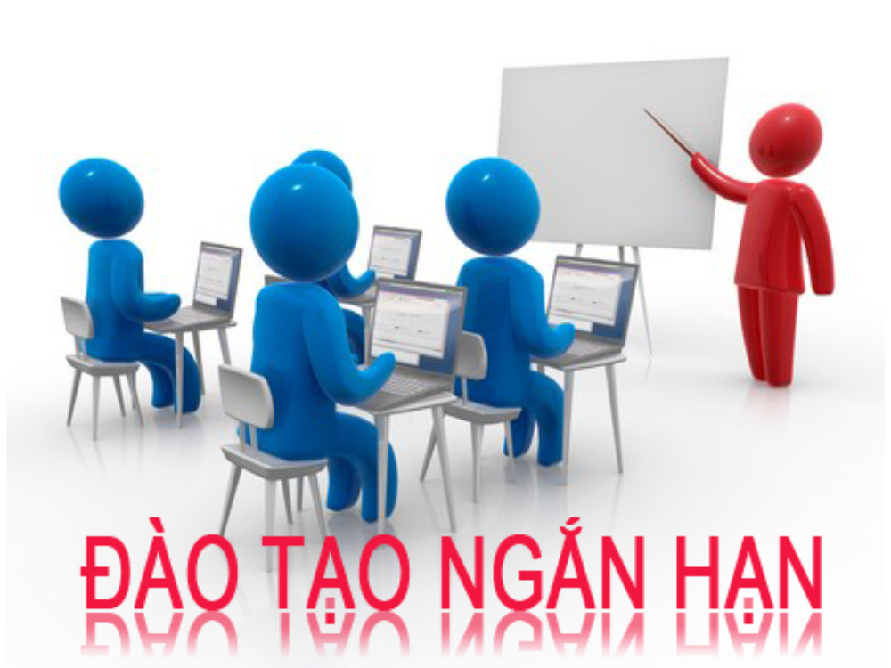 2. Đào tạo ngắn hạn
