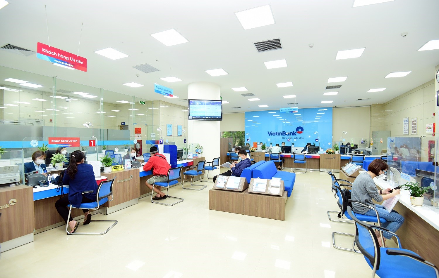 Hoạt đồng chính