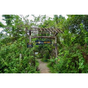 (TOUR GHÉP) Chèo Thuyền Thúng Sông Cửa Cạn + Tham Quan Trang Trại Mật Ong