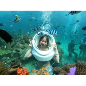 Giới thiệu dịch vụ