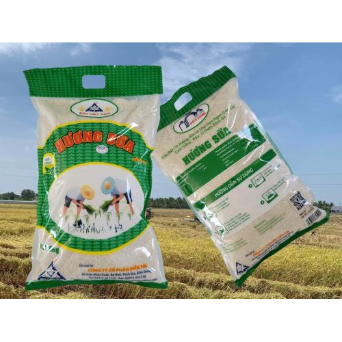 Gạo Hương Sữa R20 Điền Tín 5 Kg – 100% Tự Nhiên, Cơm Trắng Mềm Xốp Thơm Ngon
