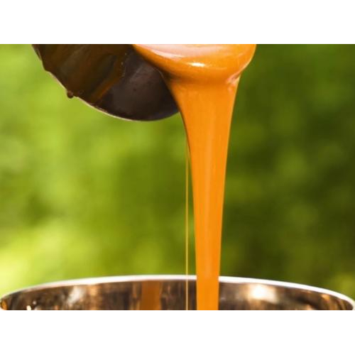 Mật Thốt Nốt Sệt Palmania 600g - Đặc Sản An Giang