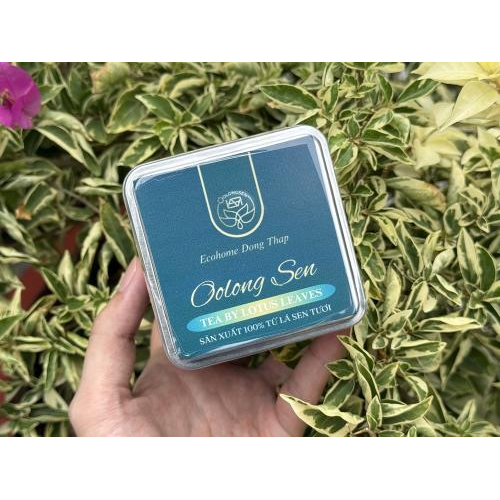 Trà Hòa Tan Oolong Sen