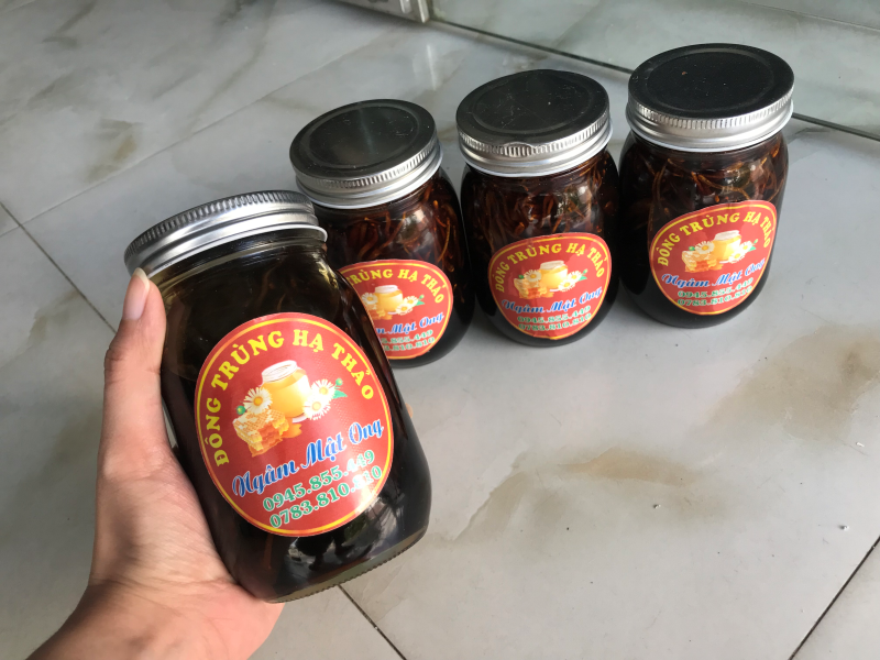 Uống đông trùng hạ thảo pha mật ong mỗi ngày có tốt không?