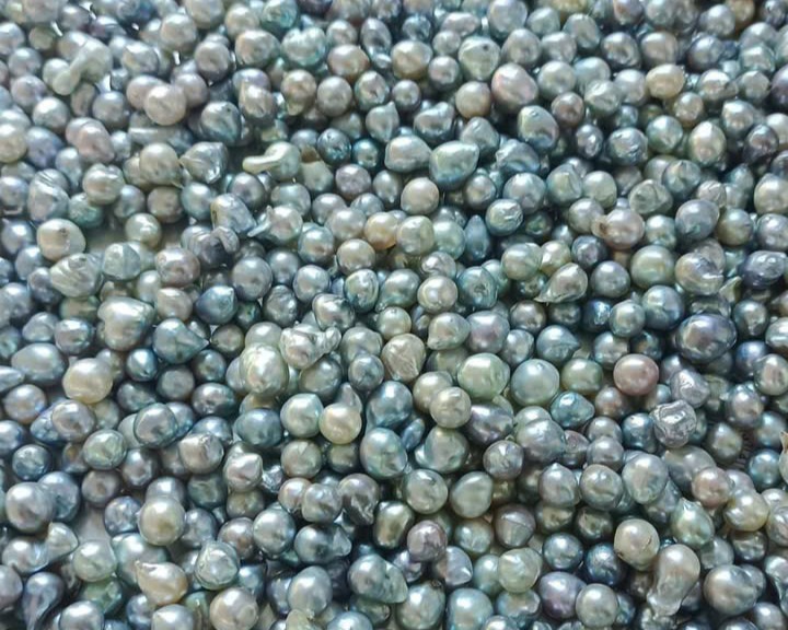 Tên thương hiệu gắn liền với đại dương